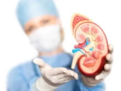 【影片】怕得肾结石就不能吃蔬菜吗？