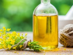 菜籽油VS橄榄油，谁更健康？