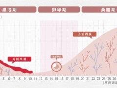 子宫内膜是“薄”还是“厚”,怎样才算正常