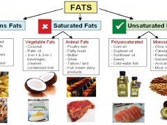 美国成年人血浆反式脂肪酸的饮食来源