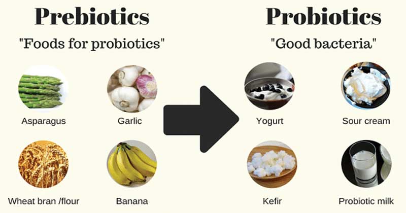 Probiotics-and-Prebiotics.jpg