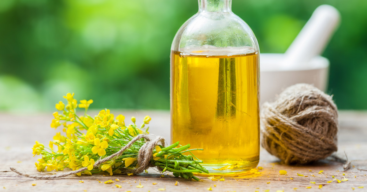 菜籽油VS橄榄油，谁更健康？