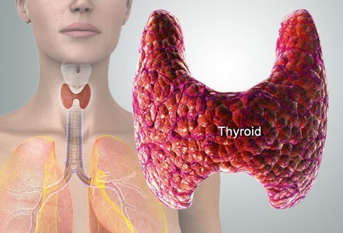thyroid-symptoms-and-solutions-s2.jpg
