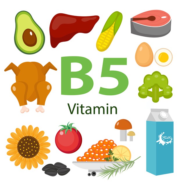 health-benefits-information-vitamin-b5_254939-176.jpg