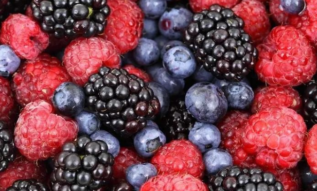 蓝莓及其花青素健康益处